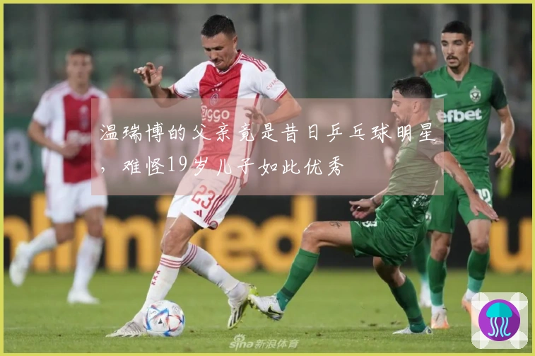 温瑞博的父亲竟是昔日乒乓球明星，难怪19岁儿子如此优秀