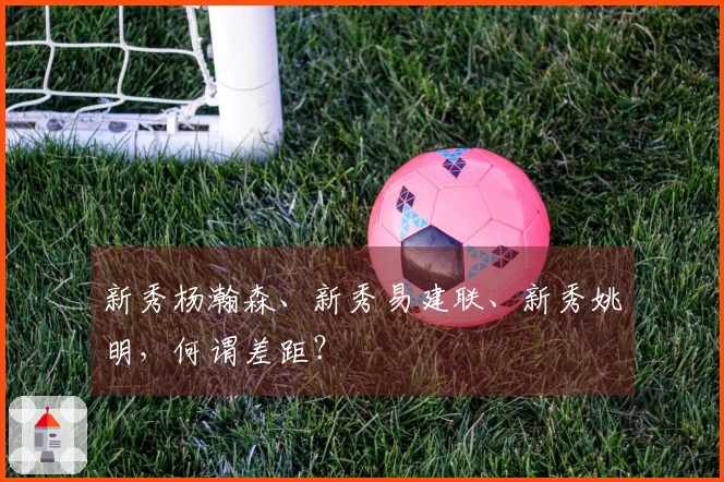 新秀杨瀚森、新秀易建联、新秀姚明，何谓差距？